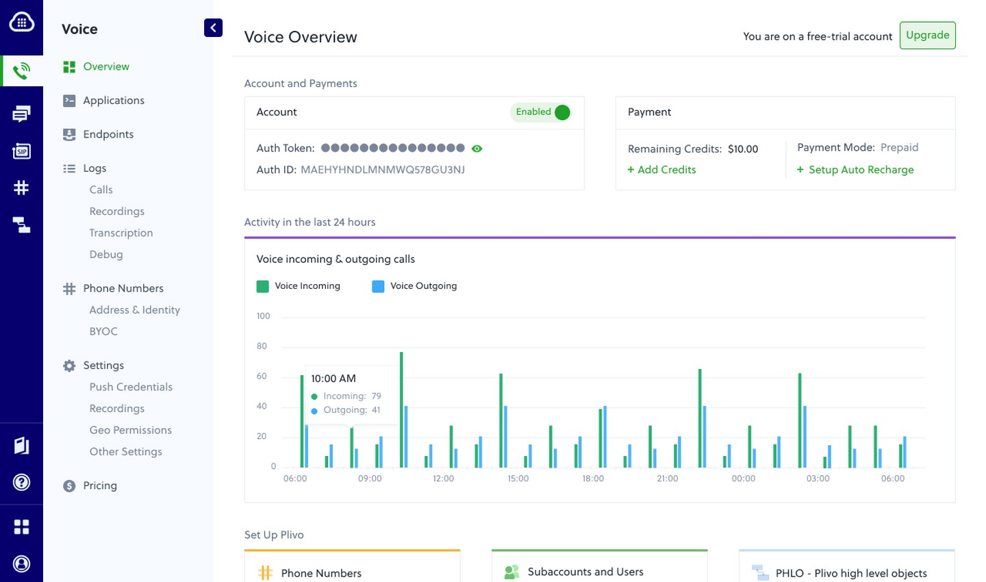 Voice API: Developer console with call activity charts and account overview